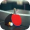 New Ping Pong 3D Pro