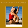 Essentrics barre stretch workout for flexibility a