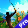 A Fast Archery Shooter Pro - A Bow Hunting