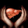 Fatty Liver Health Tips-Diet and Essential Guide