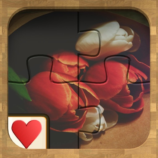 Jigsaw Solitaire Beauty icon