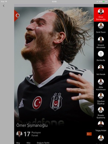 Vodafone Park screenshot 3