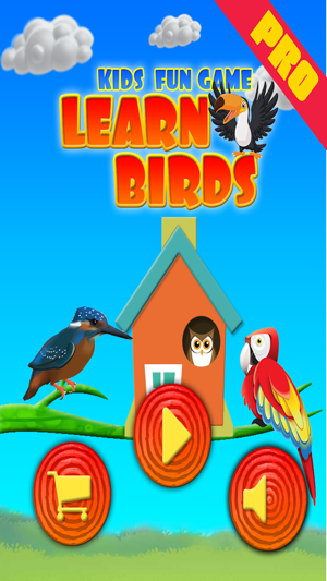 Pro Kids Fun Game Learn Birds