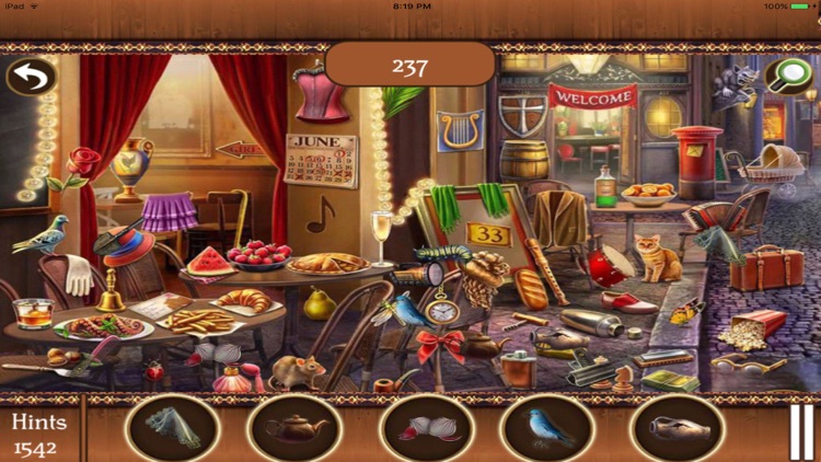 Hidden Objects:Big Home Mania