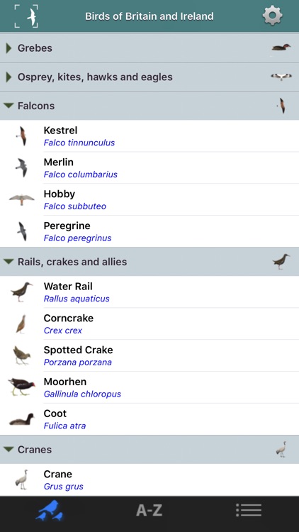 Birds of Britain & Ireland