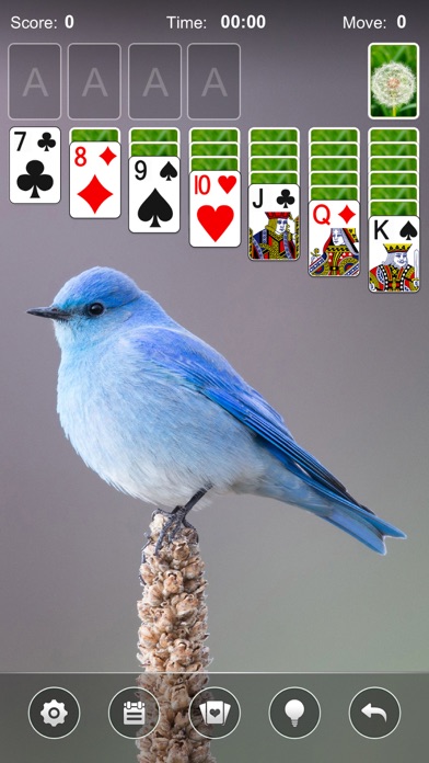 Solitaire Card Game b... screenshot1