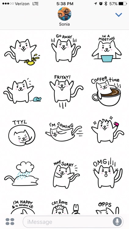 Meowtastic Life - Animated Cat Stickers