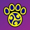 The Pawsitive Vybe App is a DiscDog and Dog Training social network featuring classes, forums, connections, messages, newsfeeds and multimedia submissions