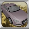 Fast Sport Car Racing Game