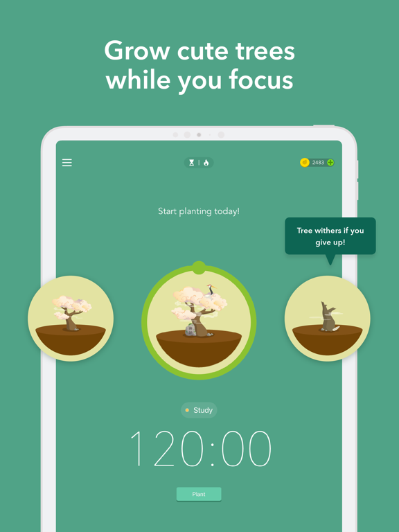 Forest Focus For Productivity App Price Drops