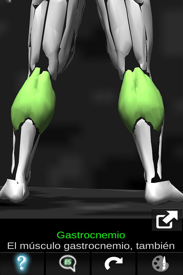 Muscular System 3D (anatomy) screenshot 3