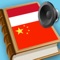 User will be satisfied with this Chinese - Indonesian dictionary because: