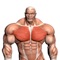 Pecs features the best strength training workout for building muscle mass to your chest and increasing strength