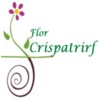 Flor Crispatrirf
