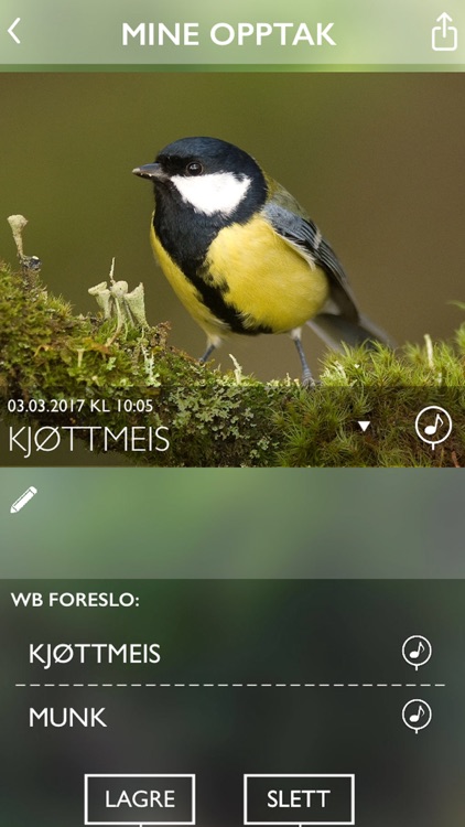 WhatBird screenshot-4