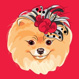 Baby Pomeranian Stickers