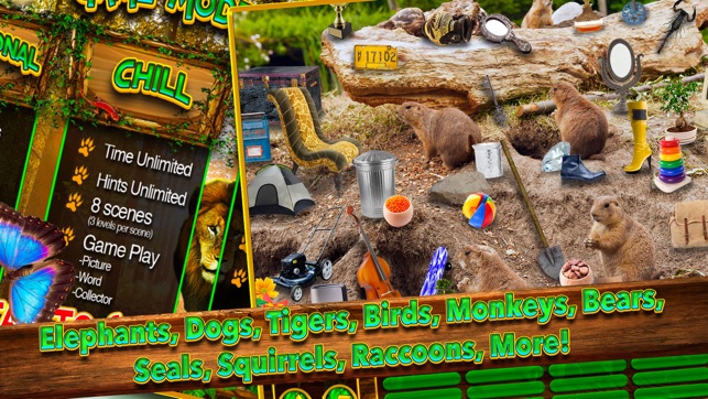 Hidden Objects Animal Kingdom(圖5)-速報App