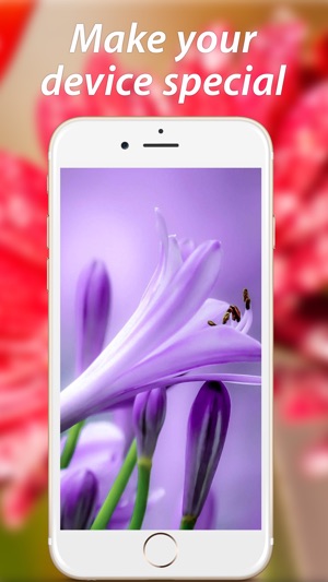 Amazing Flower Wallpapers HD(圖5)-速報App