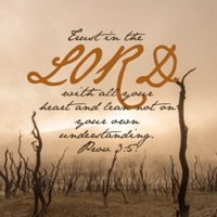 100 + Best Bible Words Verses HD Wallpapers & Pic pour PC