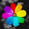 Recolor Picture - Color Pop Effects&Color Splash