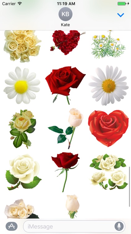 Flowers Sticker Pack!