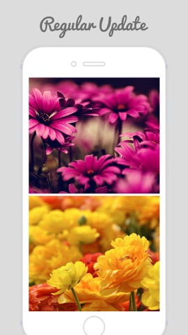 HD Flower Wallz - Flowers for Home & Lock Screensのおすすめ画像1