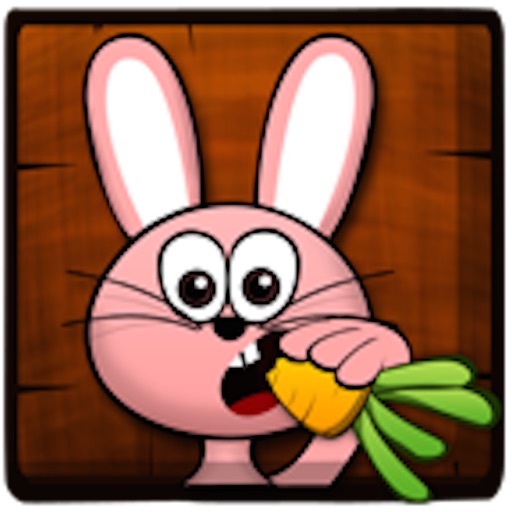 Ninja Rabbit Pro iOS App