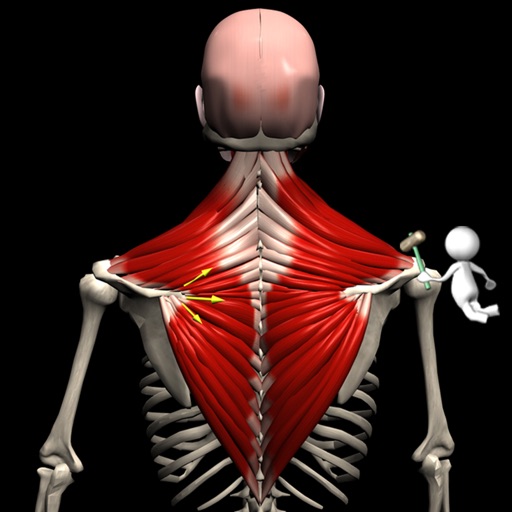 Anatomy by Muscle & Motion iOS App