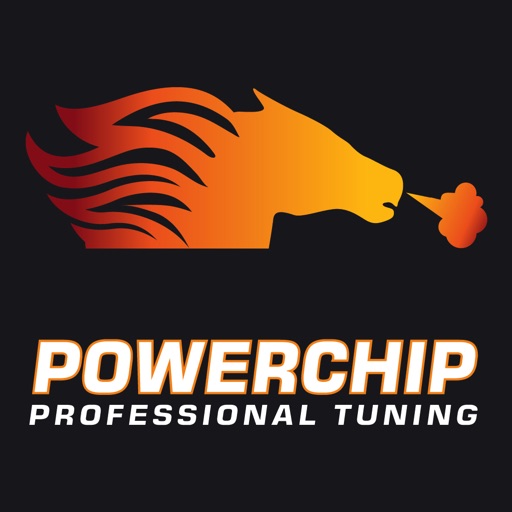 Chip tuning Icon