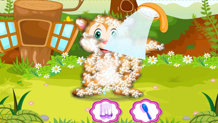 Dressup Pet Games:Squirrel Care screenshot-3
