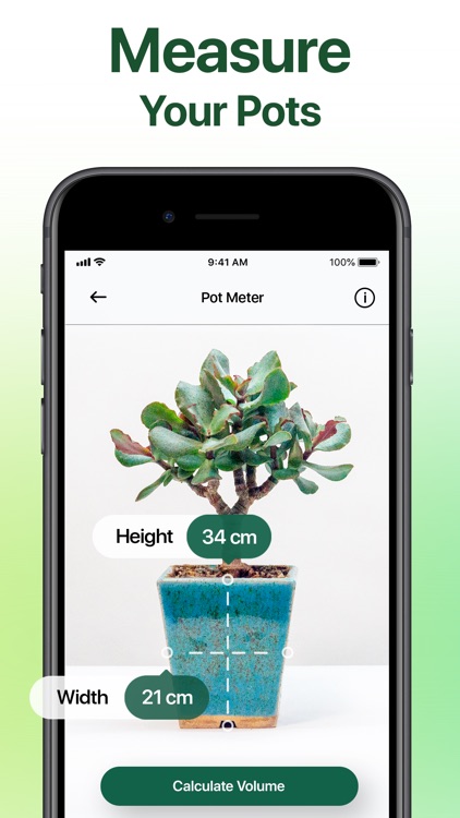 NatureID: Plant Identification screenshot-3
