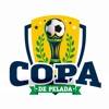 Copa de pelada 2022