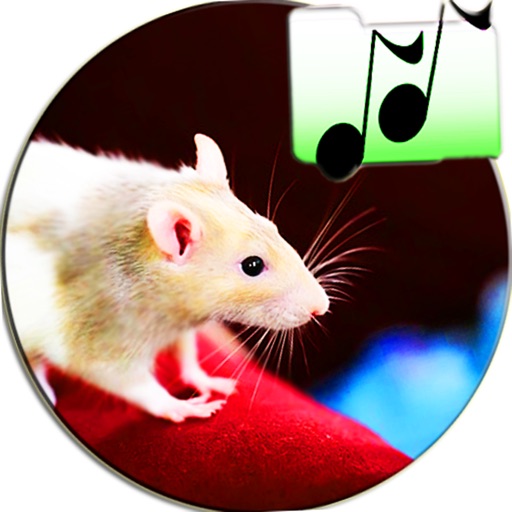 Sound Of Mouse Tease Cat Prank icon
