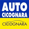 Auto Cicognara