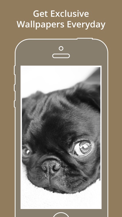 Cute Dog & Puppies Wallpaper | Backgrounds screenshot-4