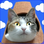 cat tower battle