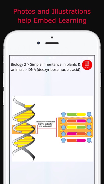 ixplain GCSE Additional Science, Careers & Skills