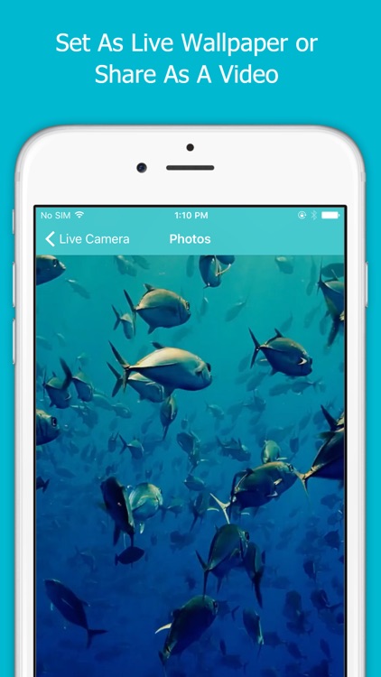 Live Camera Pro-Take Live Photos on your phone