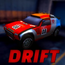 Activities of Rally Drift Champion-ship : Xtreme Car Racing