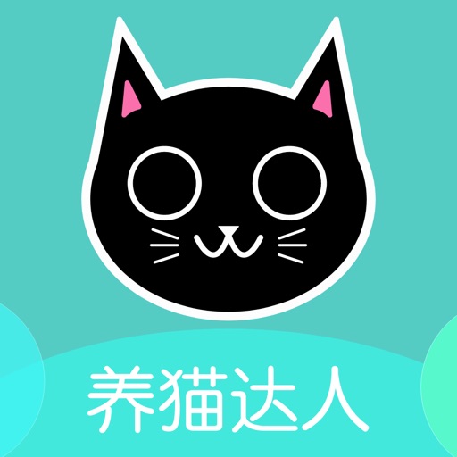 养猫达人