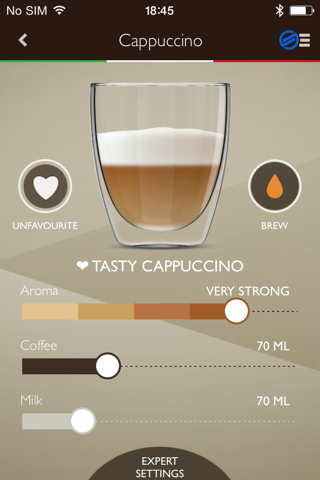 Saeco Avanti Espresso Machine screenshot 3