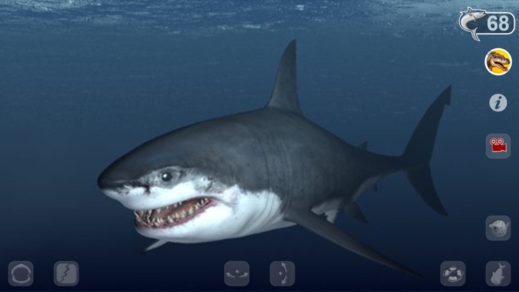 Talking Great White : My Pet Shark screenshot-0