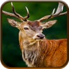2k17 big buck deer hunt elite challenge