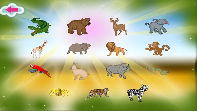 Magnetic Animals Wild Board