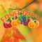 Fruit Rush Game - free funny apps