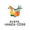 Avayil Hamza grocery