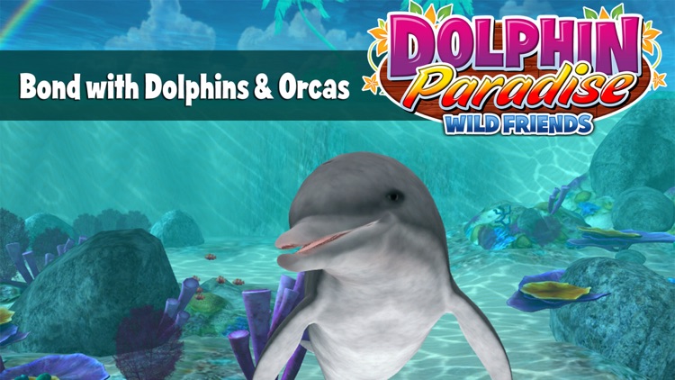 Dolphin Paradise - All Access