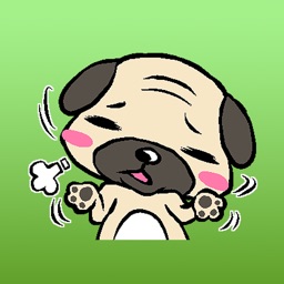 Shi The Cute Pug Sticker