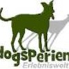 Dogsperience Rostock