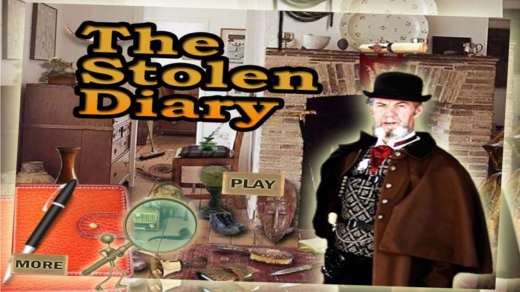 Hidden The Historical Diary